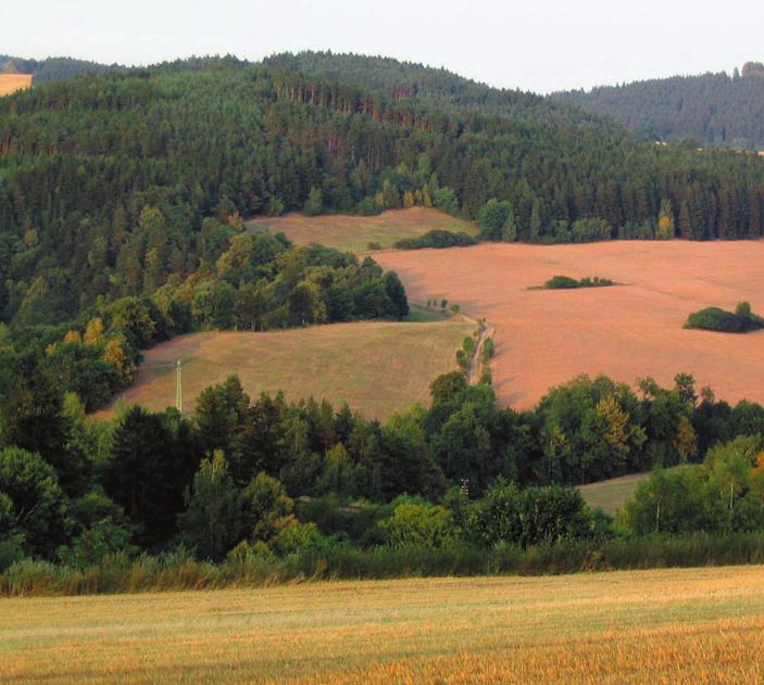 Značka Černobílá varianta značky na podkladových plochách 2.8 Pokud nelze značku aplikovat v základní nebo inverzní barevné podobě, je povoleno používat její černobílou podobu.