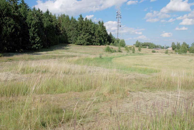 Na lokalitě se zachovala mozaika suchých smilkových trávníků a vřesovišť, na které se vyskytuje pozoruhodně velké množství zajímavých a ohrožených druhů živočichů a rostlin, které zasluhují pozornost
