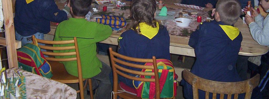 Současně by se využíval k pořádání společných akcí pro děti i z ostatních zájmových organizací, setkání skautských oddílů a pořádání různých soutěží.