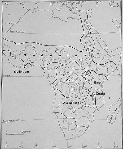 Obrázek 1: Biogeografické oblasti africké ichtyofauny (LOWE-MCCONNELL, 1987). Nilsko-súdánská ichtyofauna je rozšířena po celé nilsko-súdánské oblasti. Severní hranice rozšíření je dána klimatem.