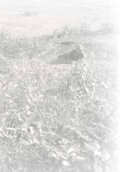 MINAŘÍK, P.; ŠRÁMEK, P.: Zabezpečení válečné armády výzbrojí, technikou a materiálem. Sborník Vojenské akademie v Brně, 1999, č. 2, s. 42. Uvedená množství zbrojního materiálu jsou zaokrouhlena.