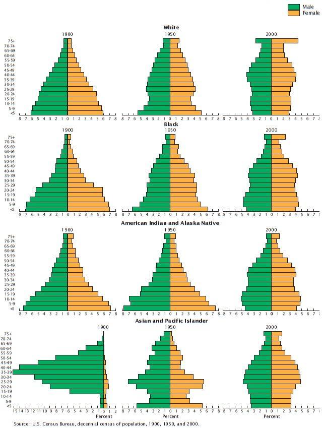 Obr. 13 Věkové pyramidy podle ras v letech 1900, 1950 a 2000, USA Zdroj: HOBBS F., STOOPS N. 2002. Demographic Trends in the 20th century[online]. U.S. Census Bureau, 2002 Dostupné z www: <www.census.