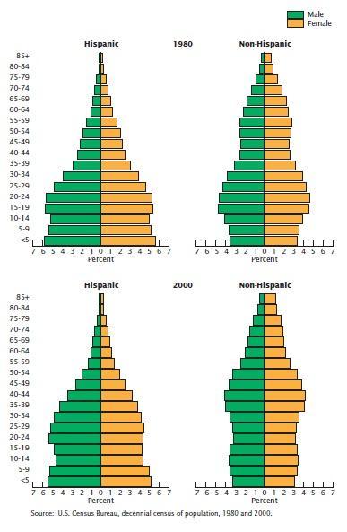 Obr. 14 Věkové pyramidy Hispánské a ne-hispánské populace v letech 1980 a 2000, USA Zdroj: HOBBS F., STOOPS N.