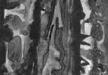Karel Černý (1910-1960) Dívka... 18 000 Kč litografie, 1957, 39,5 x 25,7 cm, sign. PD K. Černý 57, autorský tisk, lehce zažloutlý, při okrajích zašpiněný papír, žák prof. J.