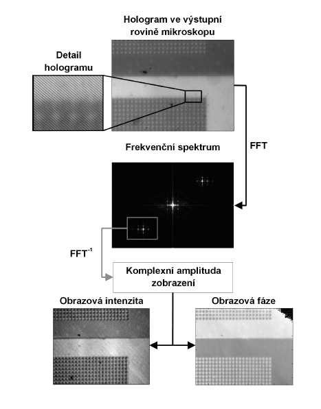 Obrázek 3.5: Schéma zpracování obrazového hologramu ve výstupní rovině reflexního DHM [2]. 3.3 Holografická podmínka Pro určení holografické podmínky je třeba popsat vlnu procházející předmětovou a referenční částí a také popsat matematický aparát zpracování obrazu.