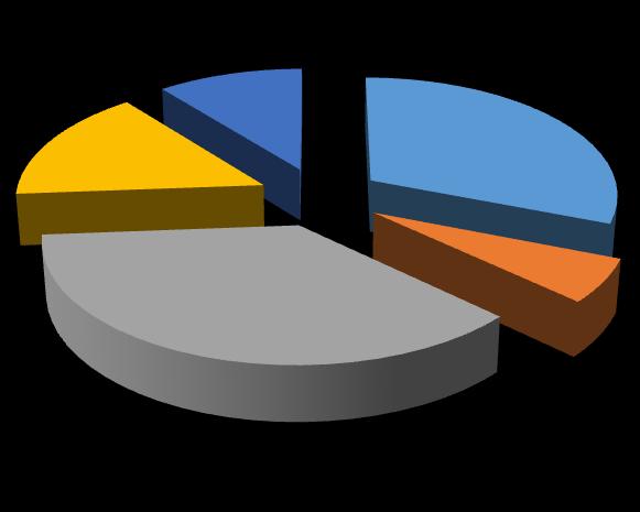 15% 11% 31% 6% CHOPN Diabetes mellitus Hypertenze ICHS Bronchiální astma 37% Obrázek 8 Procentuální zastoupení vybraných přidružených