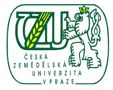 ČESKÁ ZEMĚDĚLSKÁ UNIVERZITA V PRAZE FAKULTA PROVOZNĚ EKONOMICKÁ OBOR: PROVOZ A EKONOMIKA TEZE K DIPLOMOVÉ PRÁCI Konkursní