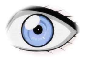Dědičná vlastnost barva očí Každý gen obsahuje informaci pro vytvoření určité vlastnosti organismu např. barvu očí. Každý gen se vyskytuje v různých variantách, kterým říkáme alely.