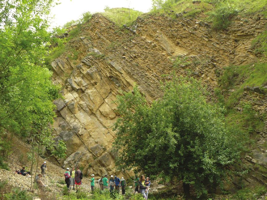 VYCHÁZKY Vybavení Geologické (zednické) kladivo, psací potřeby, pracovní list, terénní boty, pláštěnka.