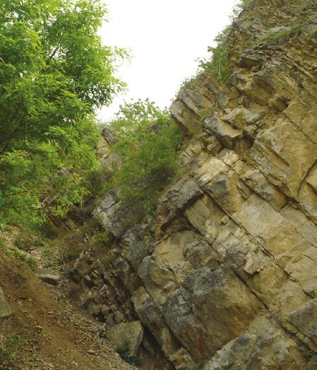 Údolí je vyplněno říčními sedimenty meandrujícího toku, který je zde však nyní z velké části regulován.