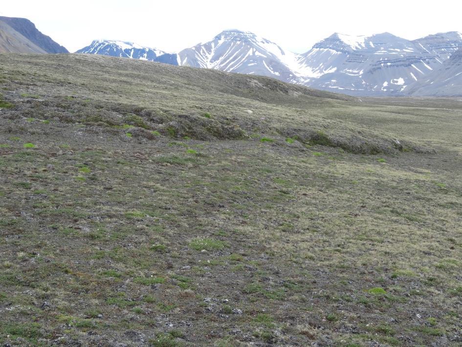 GEOLOGIE - GEOMORFOLOGIE Z tříděných pruhů odebíráme vzorky pro podrobnou analýzu sedimentu. Informace o zrnitosti sedimentu a horninovém složení úlomků, které sediment obsahuje, jsou velmi důležité.