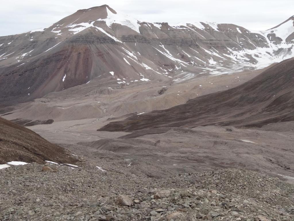 GEOLOGIE - GEOMORFOLOGIE Pomalý pohyb materiálu je ale různě posouvá ve směru stékání, takže během let bude svislá řada narušena a válečky budou různě posunuty podle toho, která část laloku se