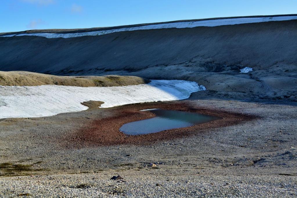 HYDROLOGIE - LIMNOLOGIE charakteristiky, které u jednotlivých jezer sledujeme je i tvar jezerní pánve, které jsou u jednotlivých typů jezer rozlišné. K tomu nám slouží tzv.