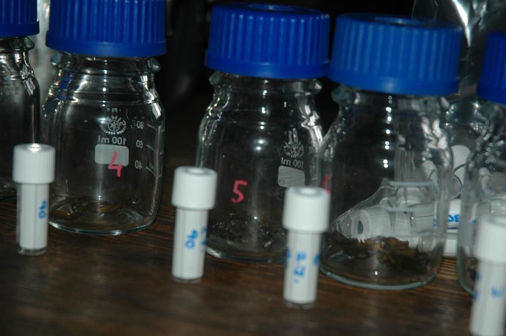 MIKROBIOLOGIE - ALGOLOGIE FluorCam můžeme požívat i pro odhad pokryvnosti půdních krust, pro hodnocení požíváme jednoduchý protokol pro měření kvantového výtěžku.