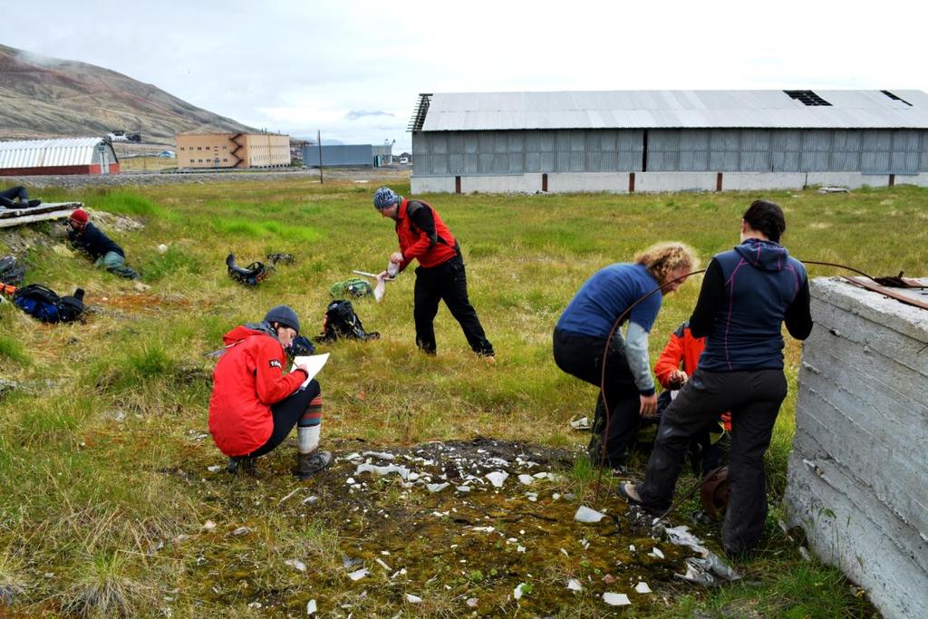 MIKROBIOLOGIE - ALGOLOGIE Veškeré lidské aktivity, které se projevily v tomto městě, slouží jako optimální přírodní experiment, ve kterém můžeme studovat vliv lidské činnosti na vývoj arktické