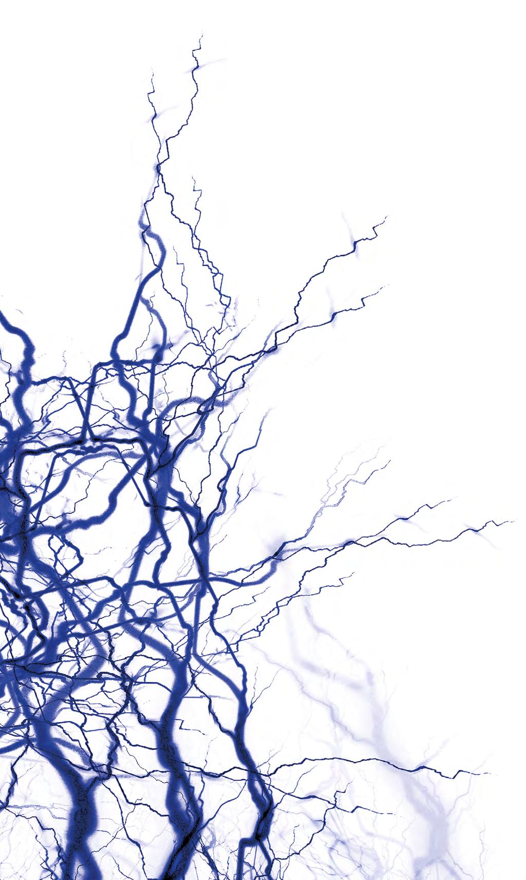 NEURODEGENERATIVNÍ ONEMOCNĚNÍ Jedná se o skupinu chorob, které se projevují jakoby předčasným stárnutím centrálního nervového systému.