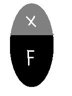 7.1.6.2. Rostlinná pletiva 1. Histologie 2. parenchym, kolenchym, sklerenchym 3. a) Kolenchym, b) Parenchym, c) Vodivá 4.