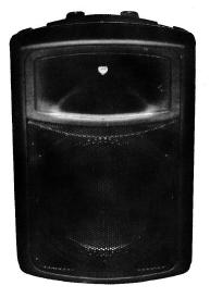 UŽIVATELSKÝ MANUÁL Profesionální ozvučovací systém KAIFAT Dvoupásmový reprobox s reproduktorem