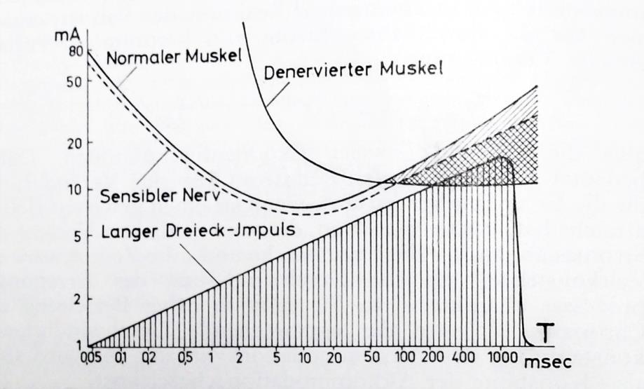 Obrázek 4. Změna dráždivosti u denervovaného svalu (Lulies & Tricker, 1970, 68) 2.1.9 Vyšetření změny nervosvalové dráždivosti Vyšetření míry nervosvalové dráždivosti se v ambulanci provádí různými testy.