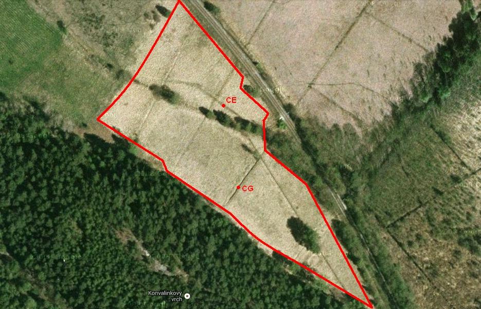 Fig 3: Map of the locality Pod Konvalinkovým vrchem with localisation of the most important records: CG Calliergon giganteum, CE Campyliadelphus elodes (www.google.cz).