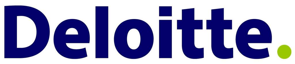 2007 Deloitte
