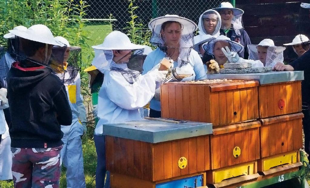Včelařská mládež Letní škola mladých včelařů 2015 Ve Středním odborném učilišti včelařském v Nasavrkách se tradičně koná už po několik let Letní škola mladých včelařů.