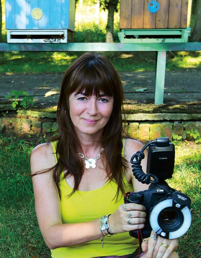 Rozhovor Dělám vlastně něco podobného, ale jinak na bázi makrofotografie a koláží hmyzu a dětí. Makrofotografie jsou samozřejmě daleko reálnější než ilustrace Ondřeje Sekory.