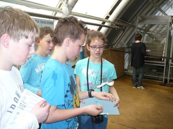 Poslední, chlazená část skleníku přibližuje drsné prostředí vysokých hor. Zastoupeny jsou zde rostliny amerických And, horských oblastí pevninské i ostrovní Asie a subtropické jižní Afriky.