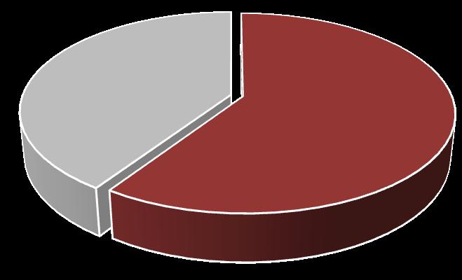 Zdravotní gramotnost 40.60% 59.