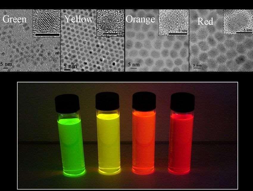 Čtyři rozdílné barvy odpovídají čtyřem druhům
