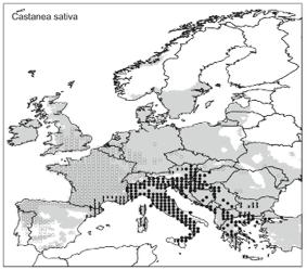 Jak závisí současné rozšíření na historických