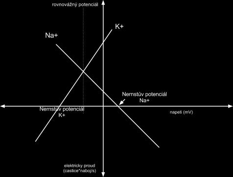 mmol/l? 2. změníme propustnost pro draslík desetkrát?