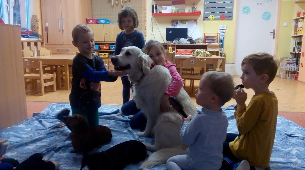 V solné jeskyni se dětem velmi líbilo, jelikož se mohly uvolnit a odreagovat. V lednu a únoru pokračovaly lekce plavání. Plavání je stále velmi oblíbené a děti se na něj těší.