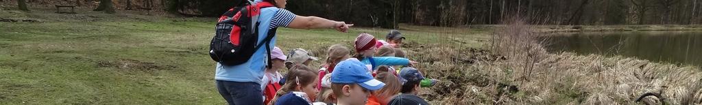 U mateřské školy jsme společně osázeli květináče maceškami a