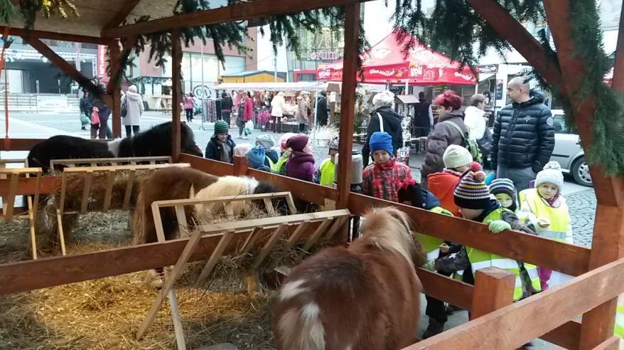 předali pejskům a kočičkám krmivo, dobroty, hračky a