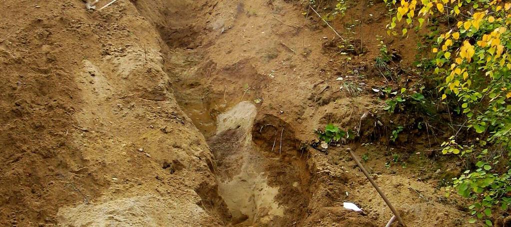 Do nadloží se v rezavém písku bez patrného zvrstvení objevuje neprůběžná poloha štěrku (klasty do 10 cm).