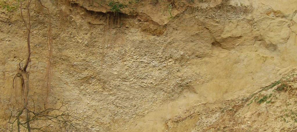 Pro pískovnu je kromě spodních částí, kde se objevuje jemnozrnný písek (Sh) charakteristická hrubozrnnost materiálu, převláda zde štěrkovitý materiál (Gm) a místy se objevuje balvanitá frakce (Bms).