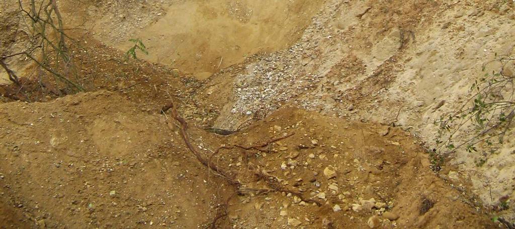 Průměrná velikost klastů je okolo 4 5 cm a z hlediska jejich petrologického složení je na první pohled patrná převaha křemene, v hojném počtu se vyskytují také pískovce opolské křídy.