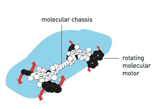 Nanomotory zkoumají výherci Nobelovy ceny za chemii za rok 2016. Vychází se z pr