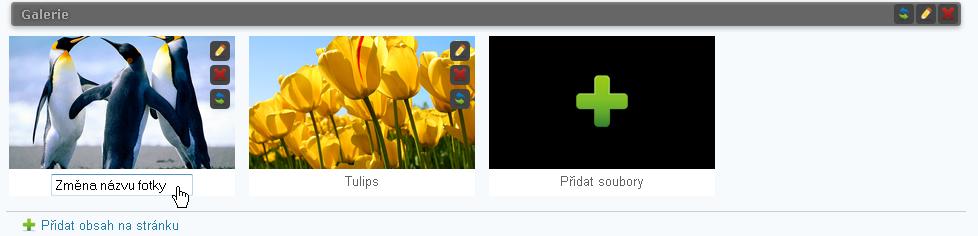 Obr. 24 - Galerie s fotkami a editačními prvky S fotkami lze následně dále pracovat. Pomocí ikon: Upravit - Pro úpravu názvu fotografie.