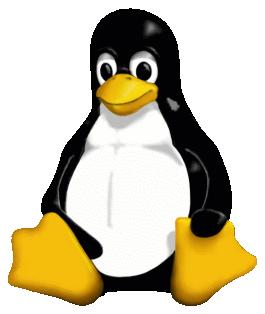 LINUX stal oficiálním jádrem pro OS GNU!