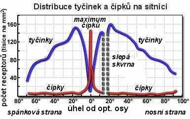 Vidí žlutá skrvrna nejlépe?