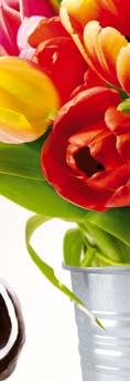 Tulipány