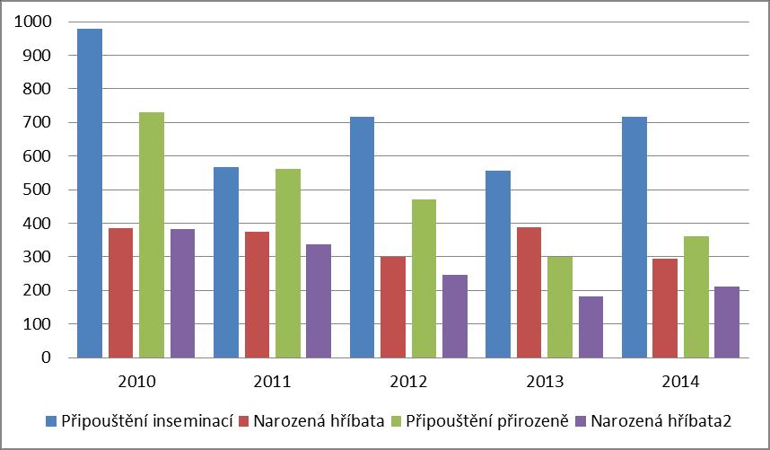 Graf 4 znázorňuje, že počty provedených inseminací výrazně převyšují počty připuštění přirozenou plemenitbou.