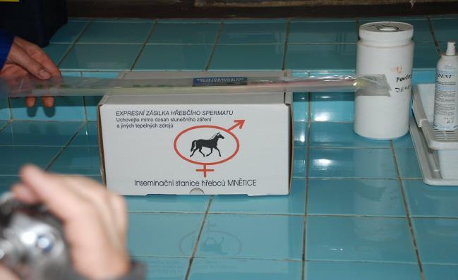 Příloha 3: Inseminační