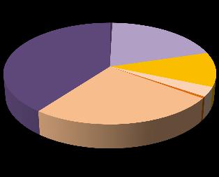 Obrázek 9 Vertikální analýza pasiv za období 2005 2010 130 2005 2006 2007 40% 20% 11% 32%