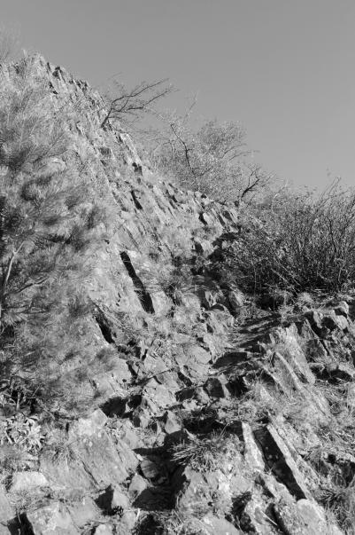11 Jakými horninami je tvořen skalní útvar na fotografii? Zakroužkuj správnou možnost v nabídce. i. Je tvořen usazenými (sedimentárními) horninami. 2 body ii.