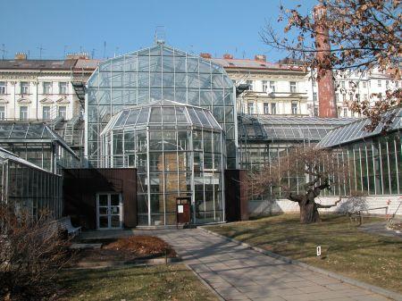 Hlavní vstup do skleníků Botanické zahrady PřF UK v Praze Můžeme říct, že zahrada umožnila rozvoj nových oborů na Univerzitě Karlově nebo je to jen názorná výuková pomůcka pro studující botaniky?