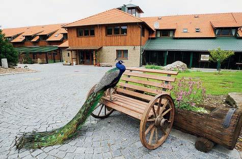 8 Minipivovar Horní Chrášťany Průvodce po pivovarech Rodinný minipivovar v Horních Chrášťanech je součástí rozlehlého areálu ekofarmy.