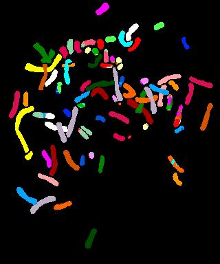 Multiformní glioblastom SKY: 78~82,XYY,+der(X),+der(X),+der (1),+der(2),+3,+3,+der(3),der(4)t(4;4),